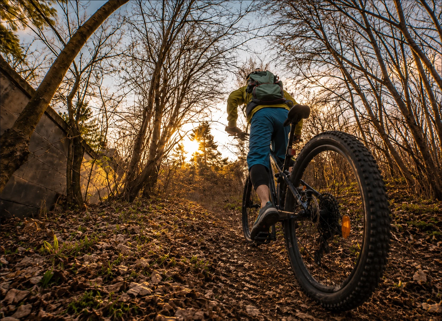 Mountain biker riding through the forest at BooPark